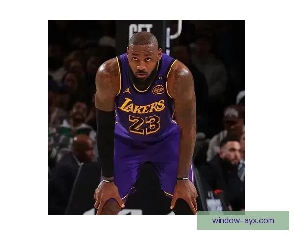 湖人队新赛季阵容调整詹姆斯领衔全新挑战球队目标直指总冠军